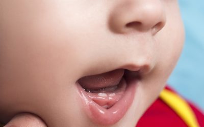 Os dentinhos estão nascendo e agora?